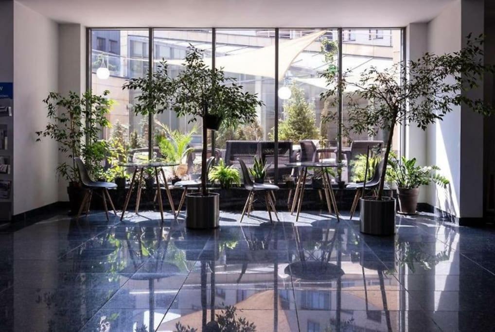 Premium Apartment For Old Town & Jewish Quarter Plus Pool كراكوفيا المظهر الخارجي الصورة